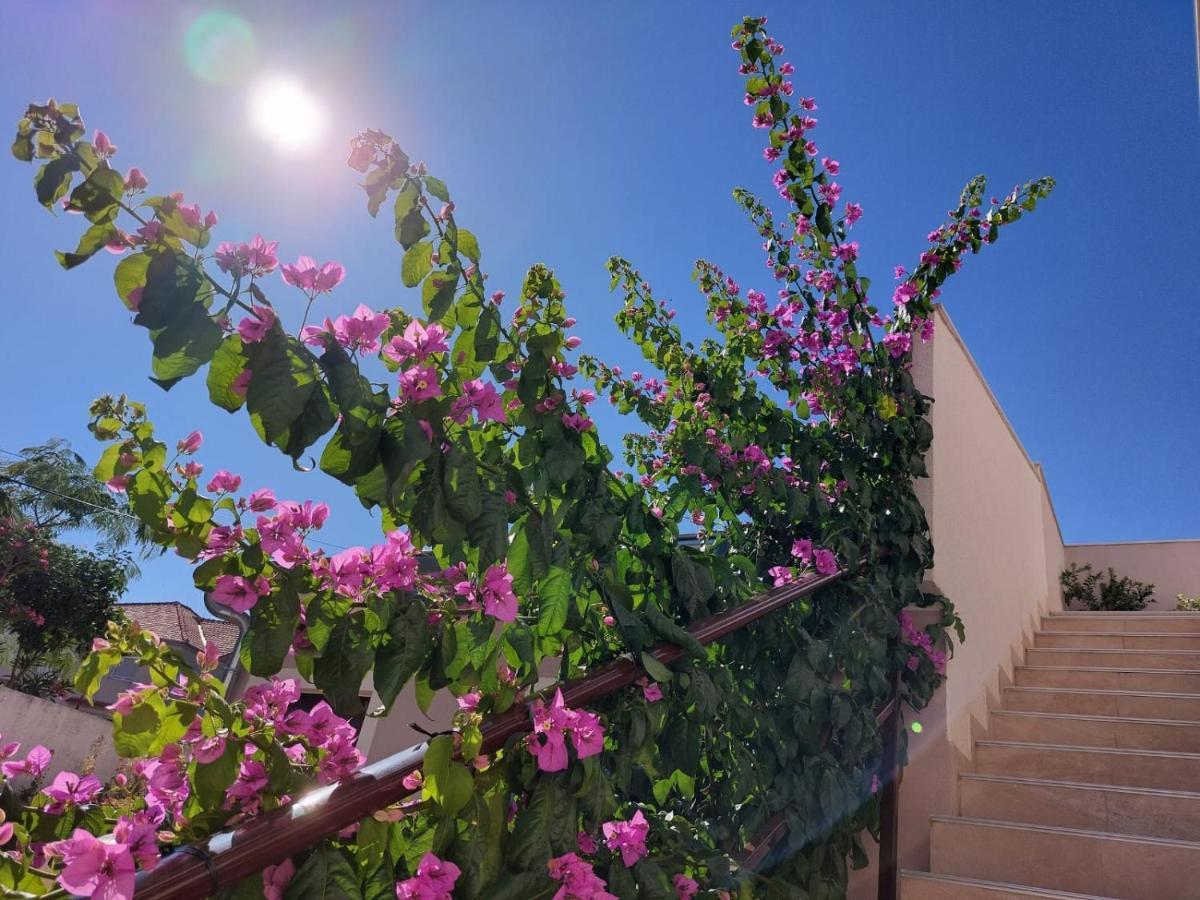 Lavanda - Free Parking And Grill Apartament Jezera